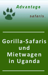 Advantage Safaris Uganda: Safaris und Autovermietung in Uganda!