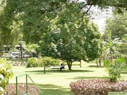 Stadtpark in Kamapa