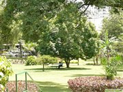 Park at Sheraton hotel in the center of Kampala, Uganda