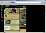 Screenshot von: Dian Fossey Gorilla Fund International