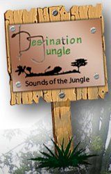 Destination Jungle Safaris: Ihr Safari-Anbieter in Uganda! Destination Jungle Safaris: Ihr Safari-Anbieter in Uganda!