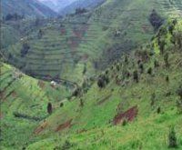 Maranatha Tours and Travel Uganda: Landschaften