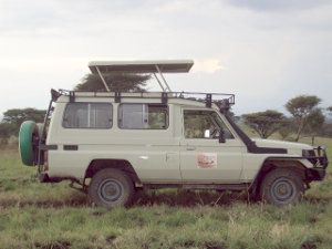 Destination Jungle: Safari-Fahrzeuge