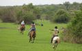 Horse safaris