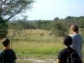 Lake-Mburo national park