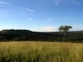 Lake-Mburo national park