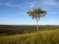 Lake-Mburo national park
