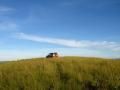 Lake-Mburo national park