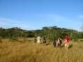 Lake-Mburo national park