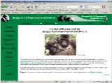 Screenshot von: Bergorillas & Regenwald Direkthilfe e.V.