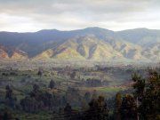 Ruwenzori-Gebirge im Westen von Uganda