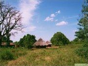 Eine traditionelle Siedlung in Uganda in der Nähe von Soroti