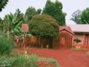 Haus aus rotem Lehm bei Jinja, Uganda