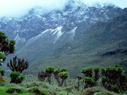 Ruwenzori mountains in Uganda