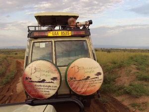 Destination Jungle: Safari-Fahrzeuge
