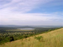 Lake-Mburo-Nationalpark