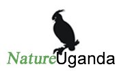 Nature Uganda