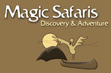 Magic Safaris