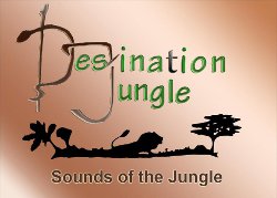 Destination Jungle