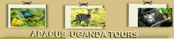 Abacus Uganda Tours