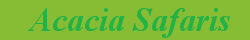 Acacia Safaris