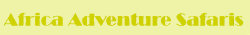 Access Africa Tours