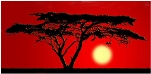 African Dream Tours