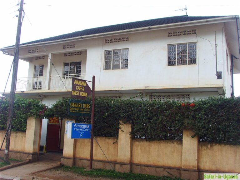 Amagara Café & Guesthouse