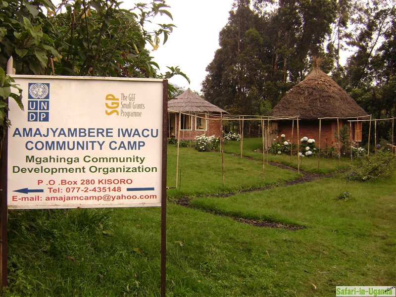 Amajambere IWACU Community Camp