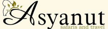 Asyanut Safaris & Travel