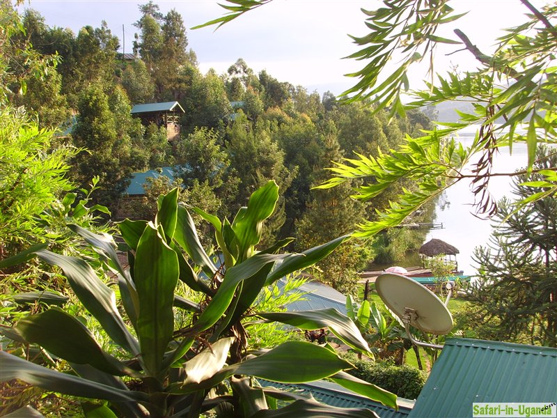 Bunyonyi Safari Ltd.