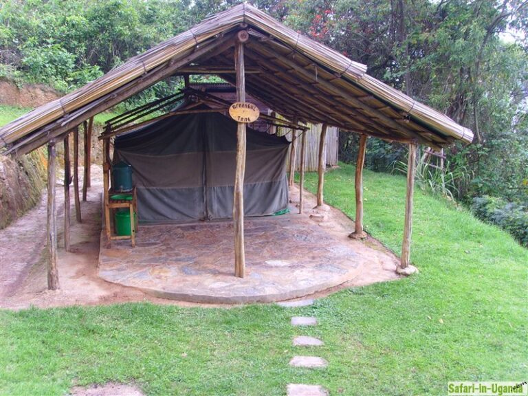 Bushara Island Camp