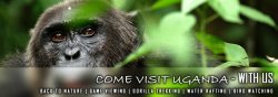 Chico Tours