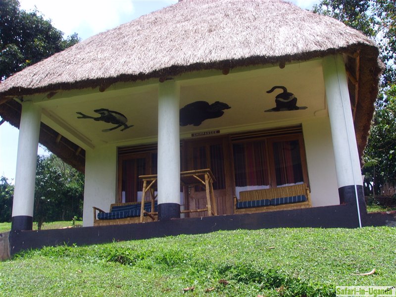 Chimpanzee Forest & House Cottages