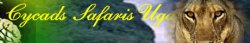 Cycads Safaris Uganda