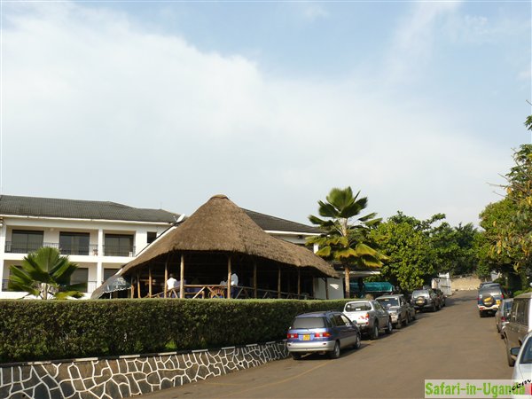 Dolphin Suites