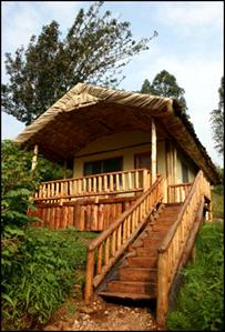 The Engagi Bwindi Lodge