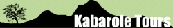 Kabarole Tours and Safaris