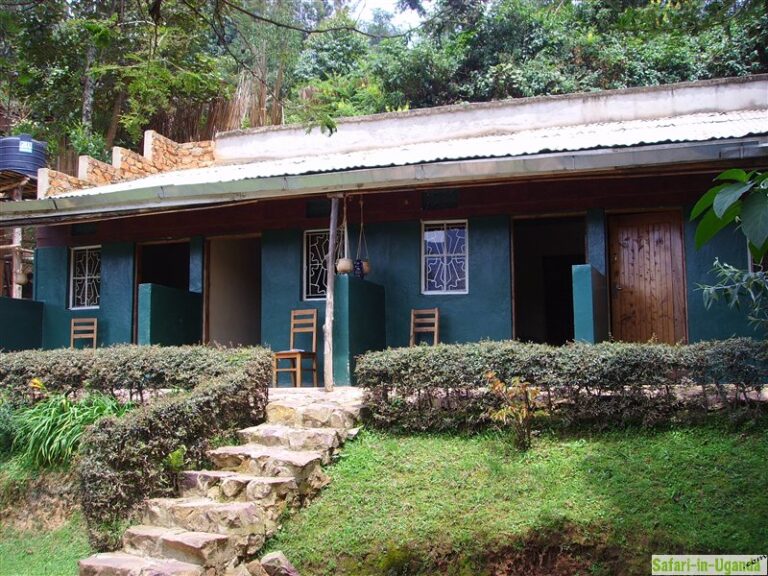 Kalebas Campsite/Pizza Café (Campsite)