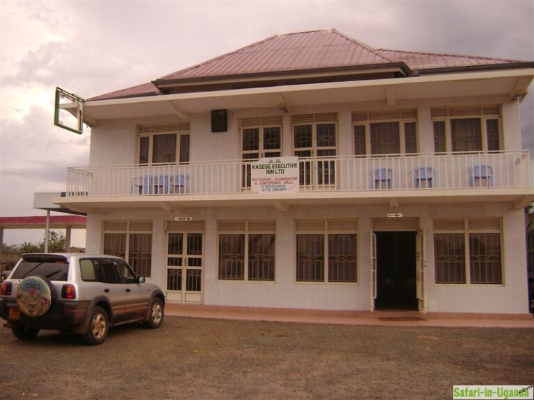 Kasese Executive Inn