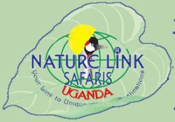 Nature Link Safaris