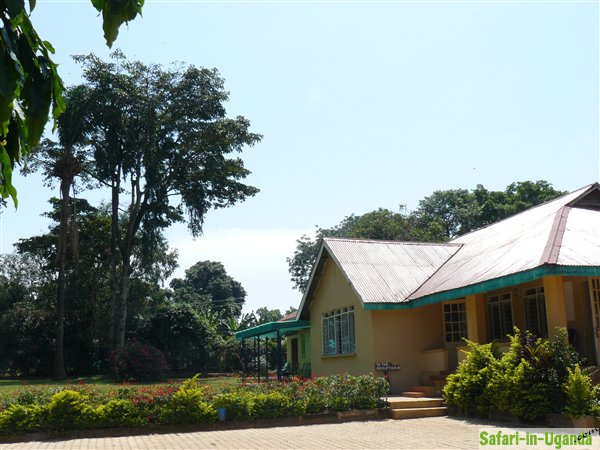 Oasis Guest House
