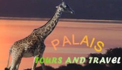 Palais Tours