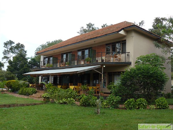 Palm Tree Guesthouse