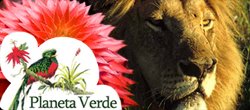 Planeta Verde