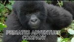 Primates Adventure Company Limited