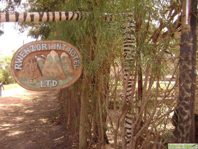 Rwenzori International Hotel