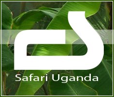 Safari Uganda