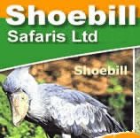 Shoebill Safaris