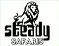 Steady Safaris